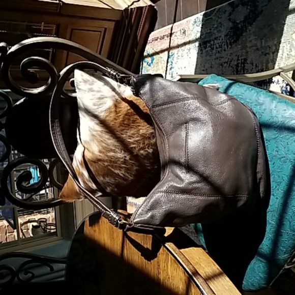 🐕The Sak Pebbled Leather Shoulder Bag..EUC - Picture 2 of 9